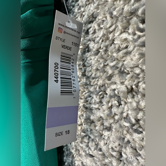 NWT R&M Richards Pinch Front Rhinestone Flyaway Gown Size 18 - Picture 6 of 6